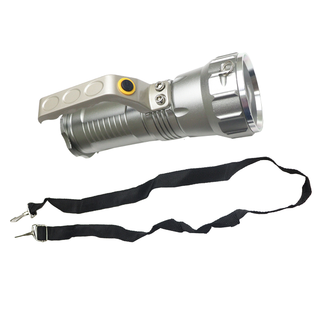 FLT010